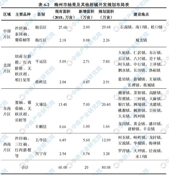 2025年正版资料免费大全,全面释义、解释与落实