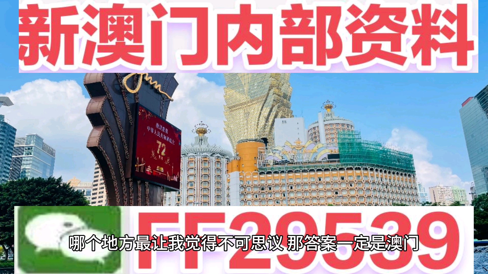 2025新澳门天天免费精准，详细解答、解释与落实