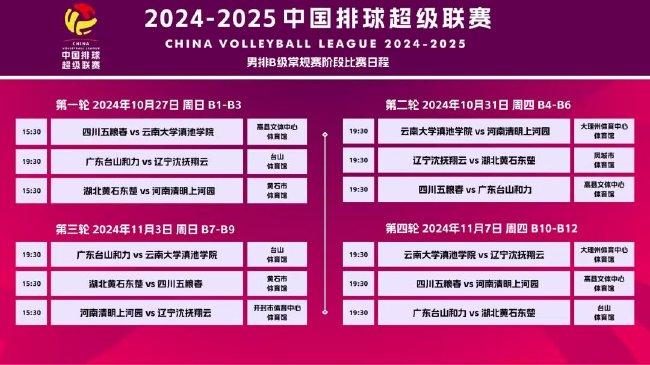 2025年免费正版资料大全与2025新澳门最精准免费大全料详细解答、解释与落实